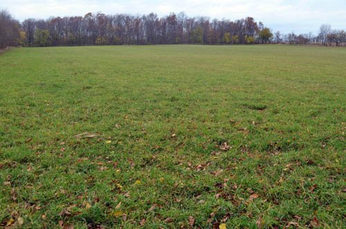 Property photo 7 - 80 Acres & Home - Property Offered in 4 Tracts from 2.3 to 30.0 Acres